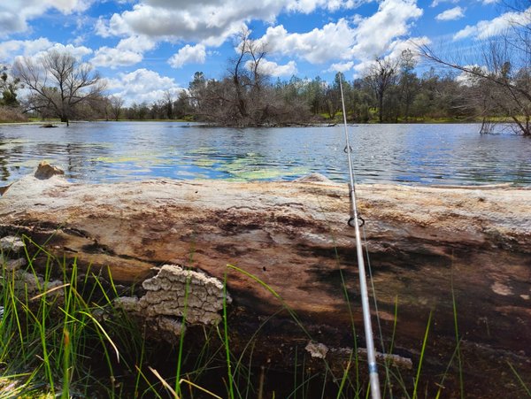 Lake Fishing & Rowboat Experience