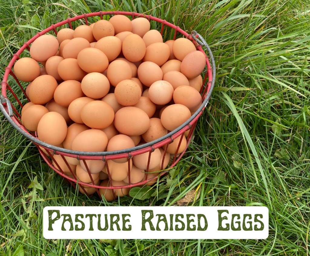 Pasture-Raised Eggs in rustic basket